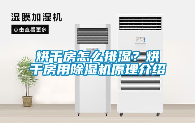 烘干房怎么排濕？烘干房用除濕機原理介紹