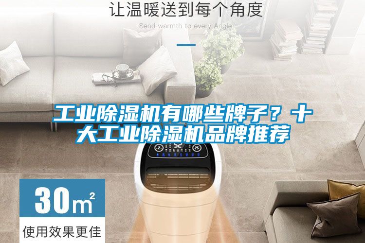 工業(yè)除濕機(jī)有哪些牌子？十大工業(yè)除濕機(jī)品牌推薦