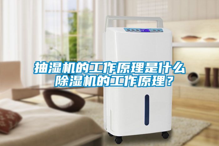 抽濕機(jī)的工作原理是什么 除濕機(jī)的工作原理？