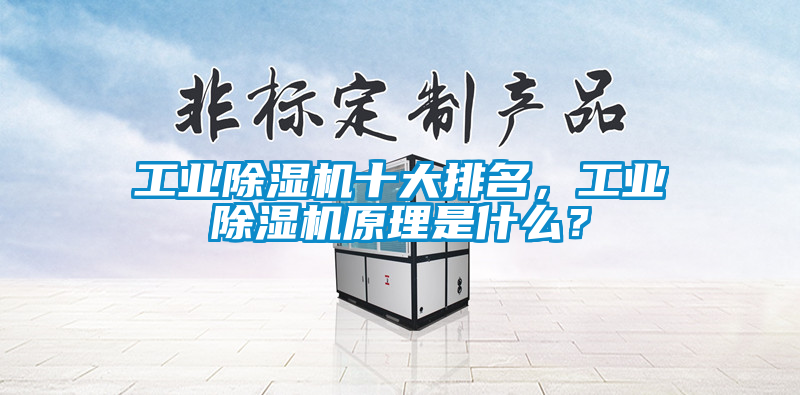 工業(yè)除濕機十大排名，工業(yè)除濕機原理是什么？