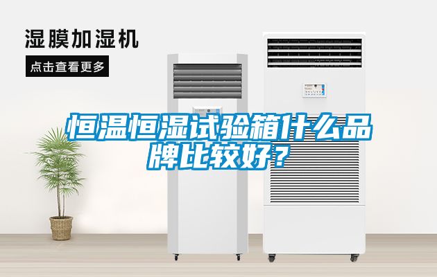 恒溫恒濕試驗箱什么品牌比較好？