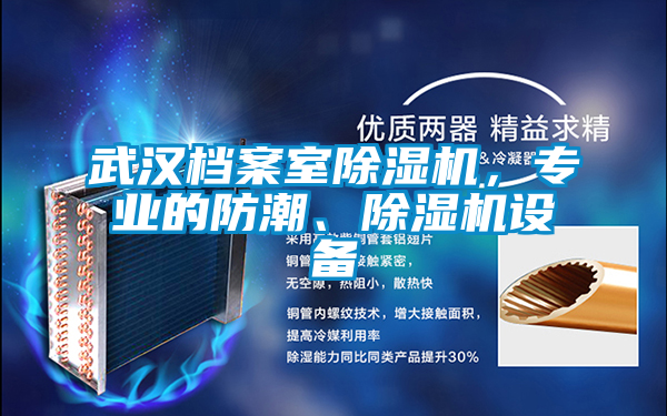 武漢檔案室除濕機，專業(yè)的防潮、除濕機設(shè)備