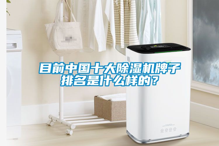 目前中國十大除濕機牌子排名是什么樣的？