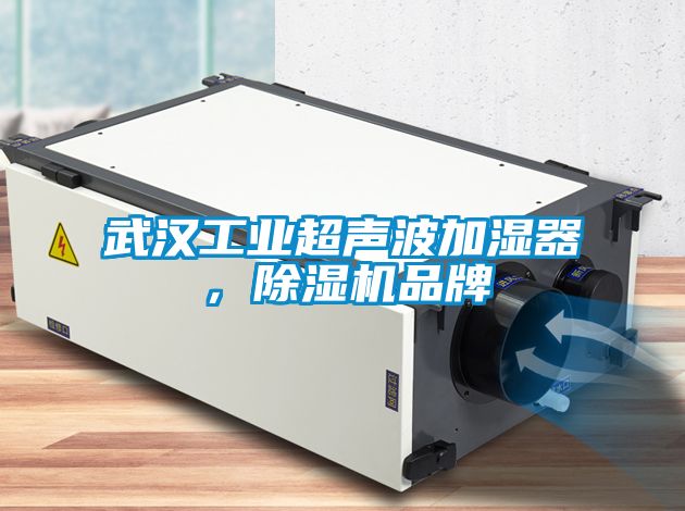 武漢工業(yè)超聲波加濕器，除濕機品牌