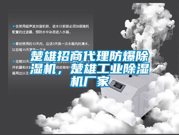 楚雄招商代理防爆除濕機(jī)，楚雄工業(yè)除濕機(jī)廠家