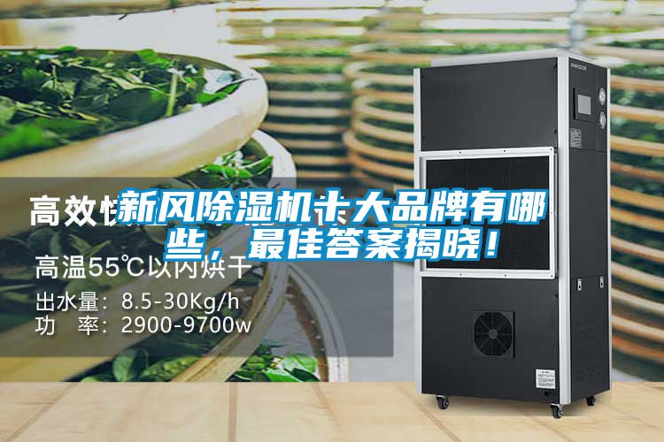 新風除濕機十大品牌有哪些，最佳答案揭曉！