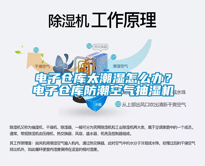 電子倉庫太潮濕怎么辦？電子倉庫防潮空氣抽濕機(jī)
