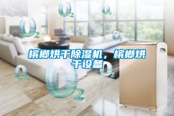 檳榔烘干除濕機(jī)，檳榔烘干設(shè)備