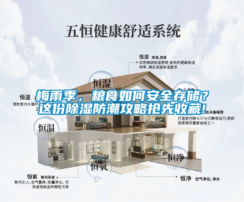 梅雨季，糧食如何安全存儲？這份除濕防潮攻略搶先收藏!