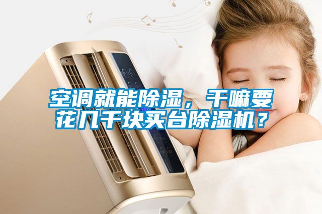 空調(diào)就能除濕，干嘛要花幾千塊買(mǎi)臺(tái)除濕機(jī)？