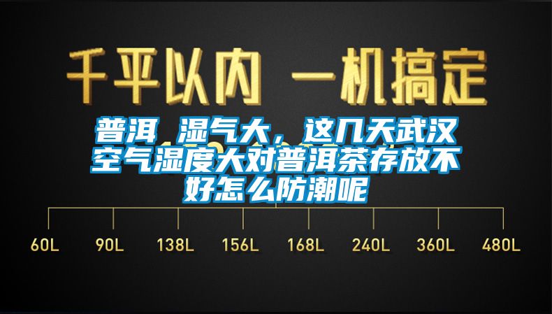 普洱 濕氣大，這幾天武漢空氣濕度大對普洱茶存放不好怎么防潮呢