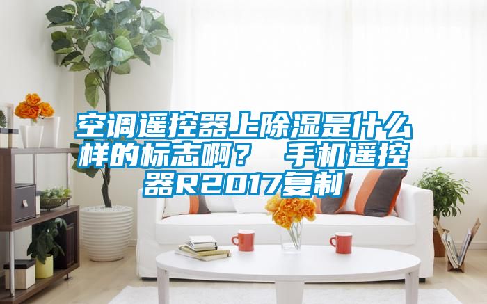 空調(diào)遙控器上除濕是什么樣的標志??？ 手機遙控器R2017復制
