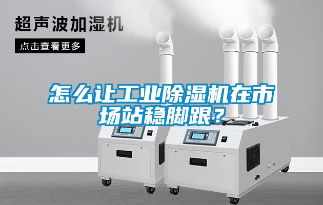 怎么讓工業(yè)除濕機在市場站穩(wěn)腳跟？