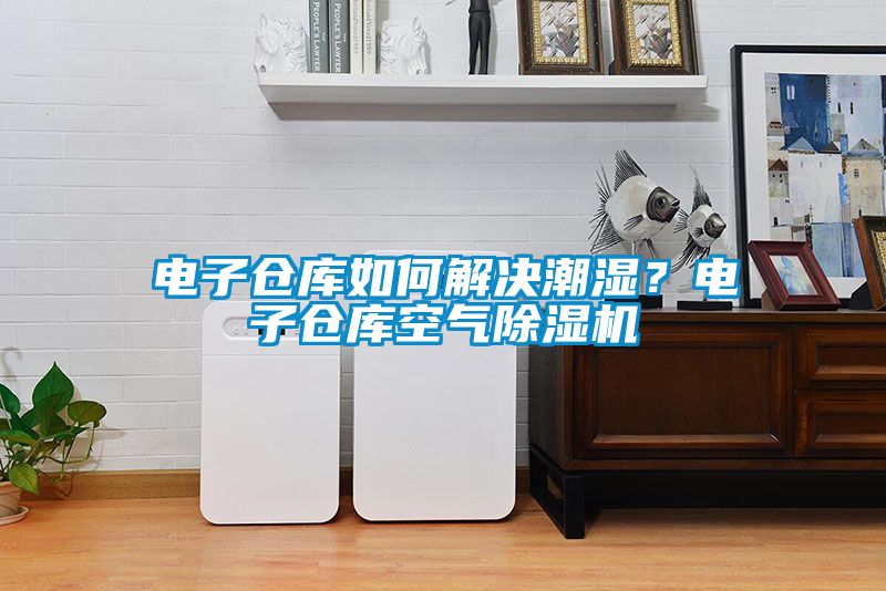 電子倉庫如何解決潮濕？電子倉庫空氣除濕機(jī)