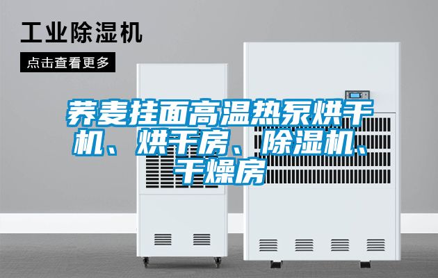 蕎麥掛面高溫?zé)岜煤娓蓹C(jī)、烘干房、除濕機(jī)、干燥房