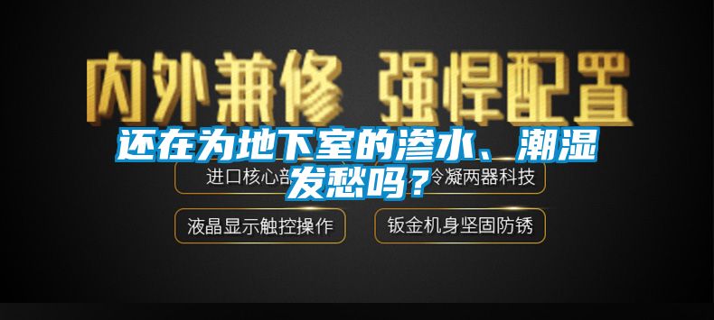 還在為地下室的滲水、潮濕發(fā)愁嗎？