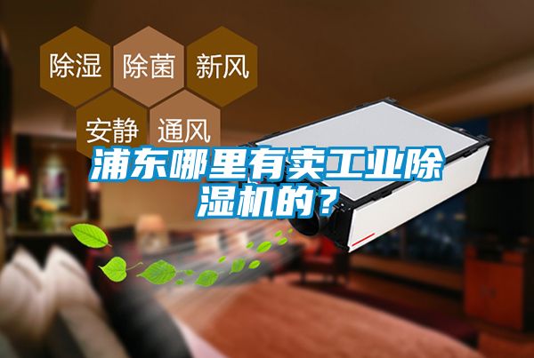 浦東哪里有賣工業(yè)除濕機的？