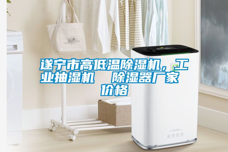 遂寧市高低溫除濕機(jī)，工業(yè)抽濕機(jī)  除濕器廠家 價(jià)格