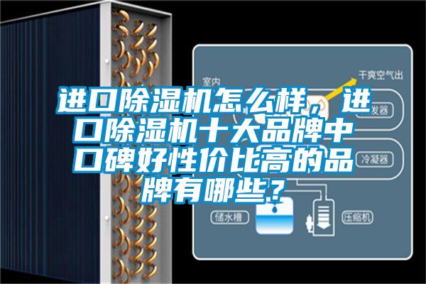 進口除濕機怎么樣，進口除濕機十大品牌中口碑好性價比高的品牌有哪些？