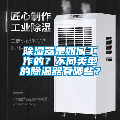 除濕器是如何工作的？不同類型的除濕器有哪些？