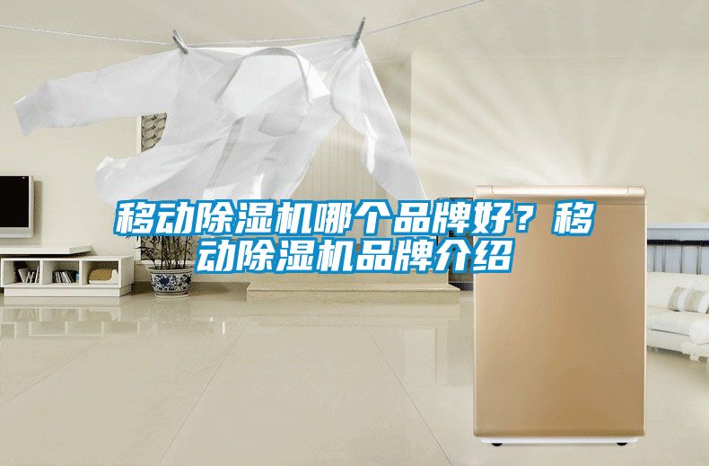 移動除濕機(jī)哪個(gè)品牌好？移動除濕機(jī)品牌介紹