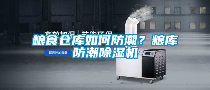 糧食倉(cāng)庫(kù)如何防潮？糧庫(kù)防潮除濕機(jī)