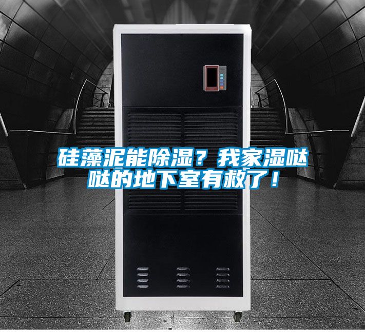 硅藻泥能除濕？我家濕噠噠的地下室有救了！