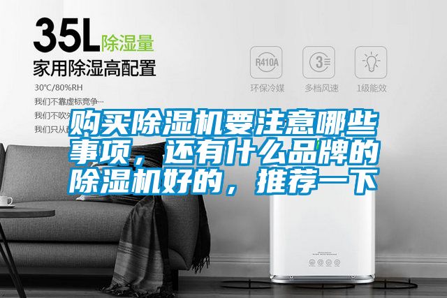 購買除濕機(jī)要注意哪些事項(xiàng)，還有什么品牌的除濕機(jī)好的，推薦一下