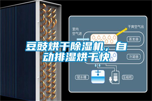 豆豉烘干除濕機，自動排濕烘干快