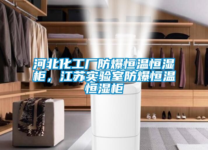 河北化工廠防爆恒溫恒濕柜，江蘇實驗室防爆恒溫恒濕柜