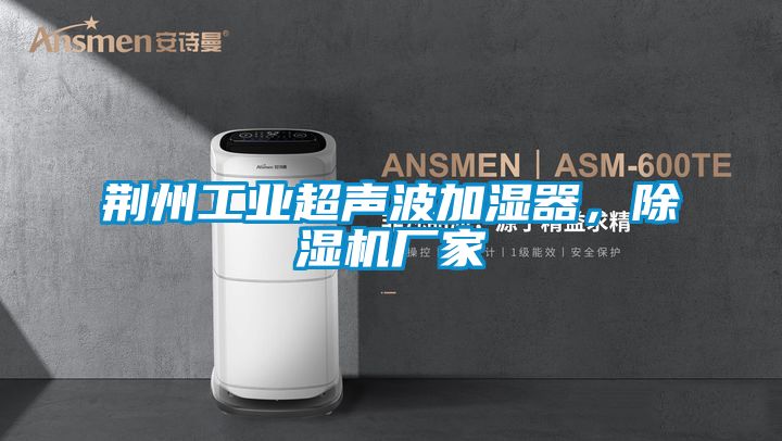 荊州工業(yè)超聲波加濕器，除濕機廠家