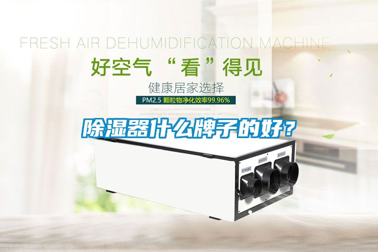 除濕器什么牌子的好？