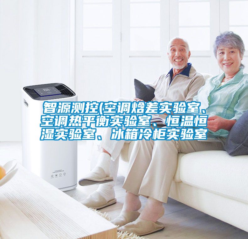 智源測控(空調焓差實驗室、空調熱平衡實驗室、恒溫恒濕實驗室、冰箱冷柜實驗室