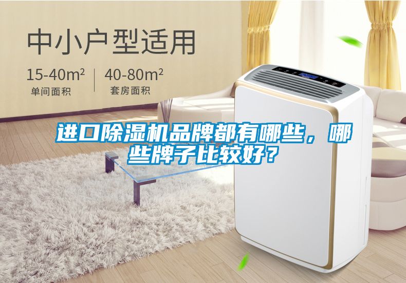 進(jìn)口除濕機(jī)品牌都有哪些，哪些牌子比較好？