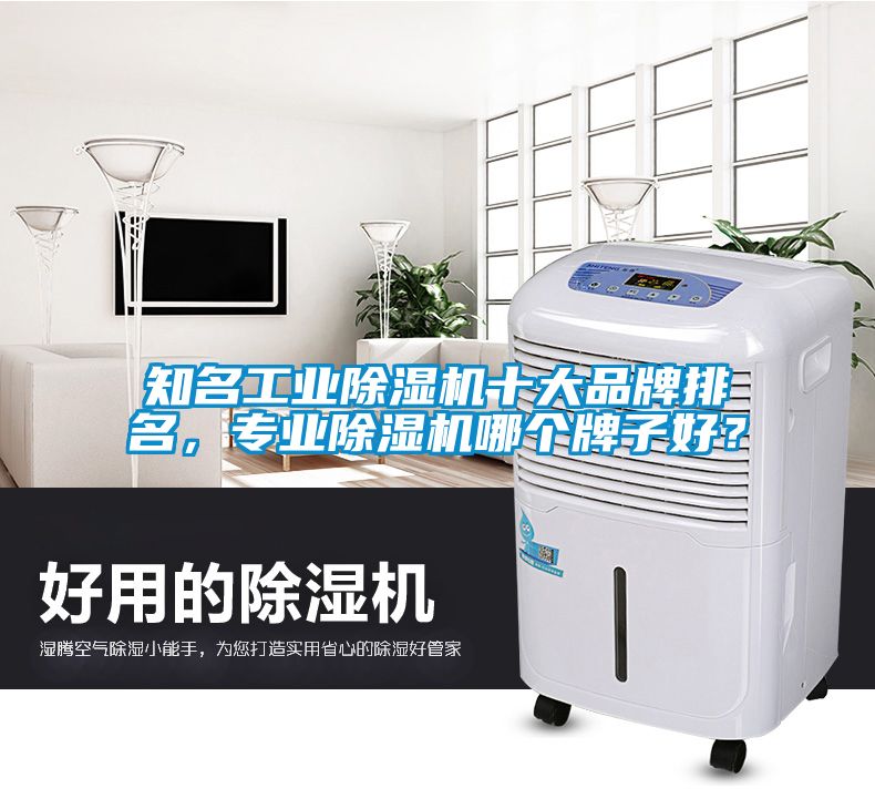知名工業(yè)除濕機(jī)十大品牌排名，專(zhuān)業(yè)除濕機(jī)哪個(gè)牌子好？