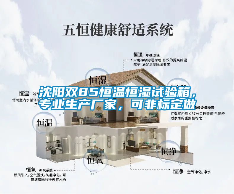 沈陽雙85恒溫恒濕試驗箱，專業(yè)生產(chǎn)廠家，可非標定做