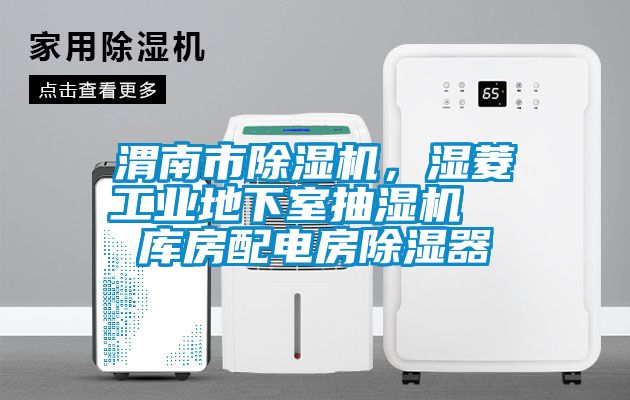 渭南市除濕機(jī)，濕菱工業(yè)地下室抽濕機(jī)  庫房配電房除濕器