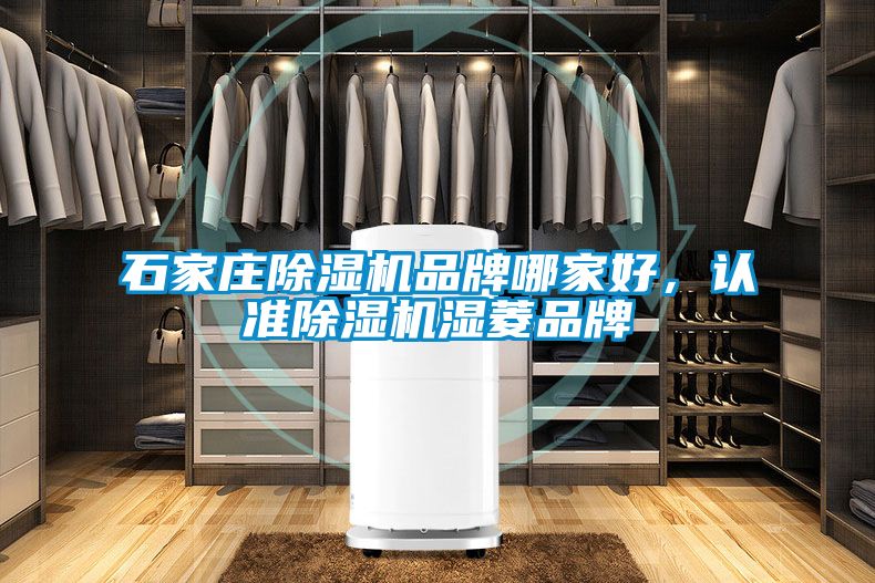 石家莊除濕機品牌哪家好，認準除濕機濕菱品牌