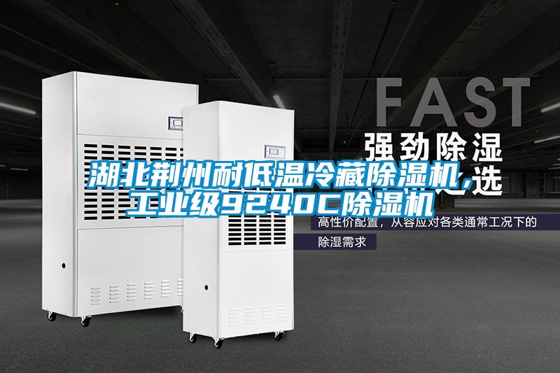 湖北荊州耐低溫冷藏除濕機，工業(yè)級9240C除濕機