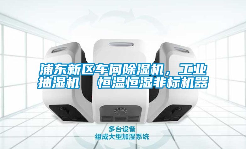 浦東新區(qū)車間除濕機，工業(yè)抽濕機  恒溫恒濕非標機器