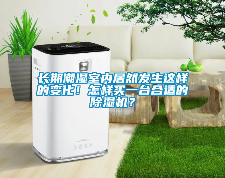 長期潮濕室內(nèi)居然發(fā)生這樣的變化！怎樣買一臺合適的除濕機(jī)？