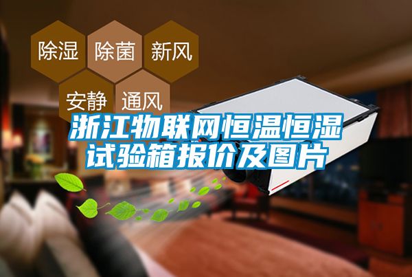 浙江物聯(lián)網恒溫恒濕試驗箱報價及圖片