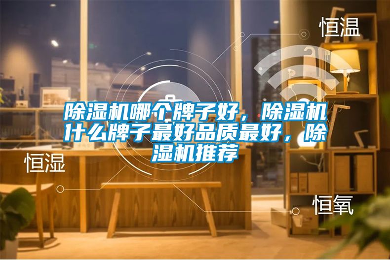 除濕機(jī)哪個牌子好，除濕機(jī)什么牌子最好品質(zhì)最好，除濕機(jī)推薦