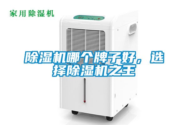 除濕機(jī)哪個牌子好，選擇除濕機(jī)之王