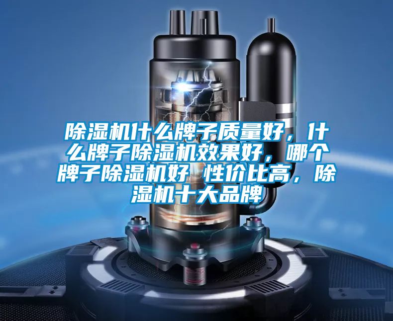 除濕機(jī)什么牌子質(zhì)量好，什么牌子除濕機(jī)效果好，哪個(gè)牌子除濕機(jī)好 性價(jià)比高，除濕機(jī)十大品牌