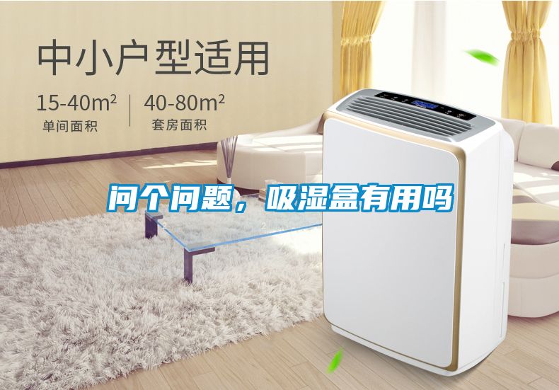問個問題，吸濕盒有用嗎