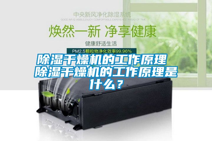 除濕干燥機(jī)的工作原理 除濕干燥機(jī)的工作原理是什么？