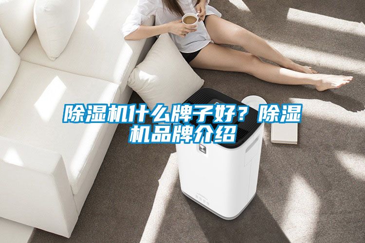 除濕機(jī)什么牌子好？除濕機(jī)品牌介紹