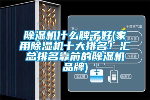 除濕機(jī)什么牌子好(家用除濕機(jī)十大排名！匯總排名靠前的除濕機(jī)品牌)