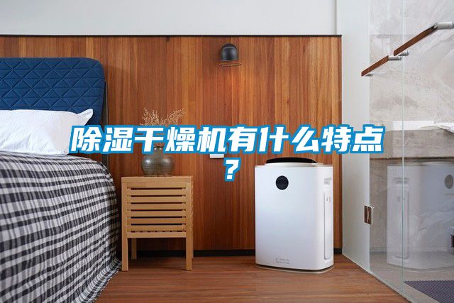 除濕干燥機(jī)有什么特點(diǎn)？